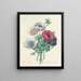 Elección de las flores más bellas pl 008 - Pierre-Joseph Redouté — cuadro enmarcado en la pared