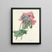 Elección de las flores más bellas pl 063 - Pierre-Joseph Redouté — cuadro enmarcado en la pared