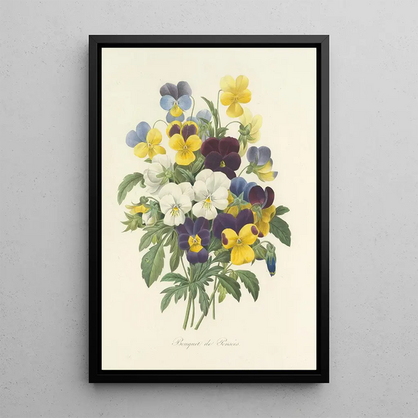 Choice of the Most Beautiful Flowers pl 067 - Pierre Joseph Redouté — framed artwork on a wall