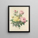 Elección de las flores más bellas pl 094 - Pierre-Joseph Redouté — cuadro enmarcado en la pared