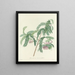 Choice of the most beautiful flowers pl 103 - Pierre-Joseph Redouté — framed artwork on a wall