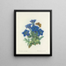 Elección de las flores más bellas pl 112 - Pierre-Joseph Redouté — cuadro enmarcado en la pared