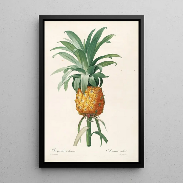 Las liliáceas Pl35 - Pierre Joseph Redouté — cuadro enmarcado en la pared
