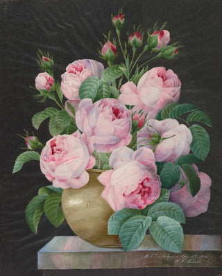 Pierre Joseph Redout - Pink Roses in a Vase.webp