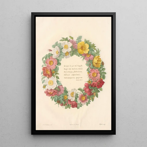 Bengal Rose Bush - Pierre Joseph Redouté — framed artwork on a wall