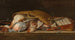 Naturaleza muerta de caza con aves de corral en una cesta de mimbre - Pieter Andreas Rysbraeck II — vista de la obra