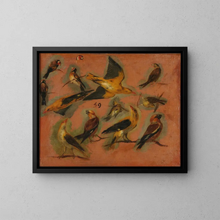 Pieter Boel - Chardonnerets oiseaux Stade de cration tude.webp