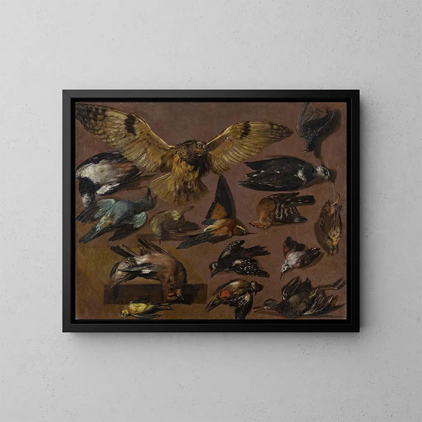 Estudios de un búho y otros pájaros - Pieter Boel — cuadro enmarcado en la pared
