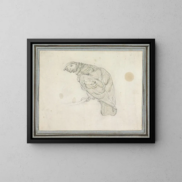 Perroquet - Pieter Casteels III — cuadro enmarcado en la pared