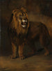 Un león de la ménagerie del rey Luis Napoleón 1808 - Pieter Gerardus van Os — vista de la obra