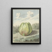 Apple in a Landscape - Pieter Gevers — framed artwork on a wall
