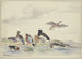 Ocho patos de diferentes especies junto al agua - Pieter Holsteijn — vista de la obra