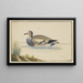 Pato a la Izquierda - Pieter Holsteijn — cuadro enmarcado en la pared