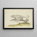 Lizard or salamander facing left - Pieter Holsteijn — framed artwork on a wall