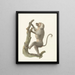 Baboon with coat - Pieter Pietersz. Barbiers — framed artwork on a wall