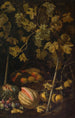 Still life with fruits and vine - Pietro Paolo Bonzi — artwork view