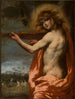 Apollon - Pietro della Vecchia — vista de la obra