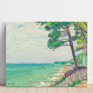 Pins au Pyla par Albert Marquet