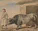 Bœuf gris et paysan de Bolestraszyce - Piotr Michałowski — artwork view