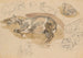 Estudios y bocetos de caballo al galope - Piotr Michałowski — vista de la obra