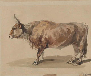 Piotr Michaowski - Study of a fawn ox.webp