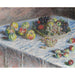 Reproducción del cuadro Manzanas y uvas - Claude Monet