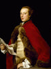 Guillaume Fermor - Pompeo Batoni — vista de la obra
