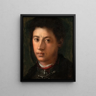 Pontormo Jacopo Carucci - Alessandro de Medici.webp