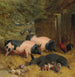 Porcs Berkshire y Gallinas en un patio con heno - John Frederick Herring Snr — vista de la obra