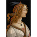 Reproducción del cuadro Retrato de Simonetta Vespucci en ninfa - Sandro Botticelli