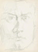 Cabeza de un hombre - Reijer Stolk — vista de la obra