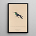 Historia natural de los colibríes Pl18 - René Primevère Lesson — cuadro enmarcado en la pared