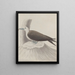 Natural History of Saint-Domingue Pl041 - René de Rabi — framed artwork on a wall