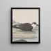 Natural History of Saint-Domingue Pl042 - René de Rabi — framed artwork on a wall