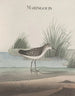 Natural History of Saint-Domingue Pl051 - René de Rabi — artwork view