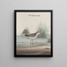 Natural History of Saint-Domingue Pl051 - René de Rabi — framed artwork on a wall