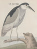 Historia natural de Saint-Domingue Pl057 - René de Rabi — vista de la obra