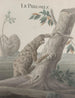 Historia natural de Saint-Domingue Pl059 - René de Rabi — vista de la obra