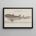 Natural History of Saint-Domingue Pl115 - René de Rabi — framed artwork on a wall