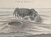 Historia natural de Saint-Domingue, Pl. 120 - René de Rabi — vista de la obra