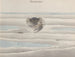 Natural History of Saint-Domingue Pl124 - René de Rabi — artwork view