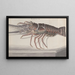 Natural History of Saint-Domingue Pl133 - René de Rabi — framed artwork on a wall