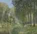 Repos en el borde del arroyo en el bosque - Alfred Sisley — vista de la obra