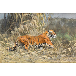 Reproduction Dans la jungle Tigre - Wilhelm Kuhnert