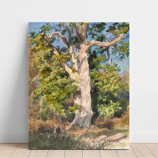 Reproduction Étude des arbres - Rosa Bonheur