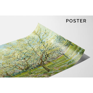 Reproduction Le verger blanc - Vincent van Gogh