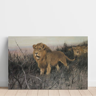 Reproduction Lions dans la steppe brûlée - Wilhelm Kuhnert