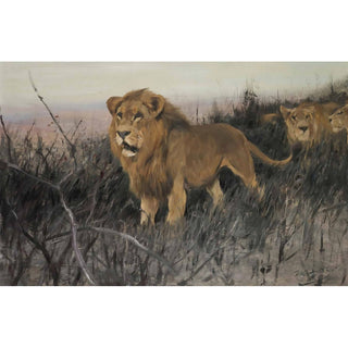 Reproduction Lions dans la steppe brûlée - Wilhelm Kuhnert