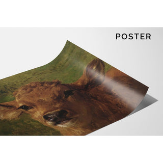 Reproduction Tête de veau - Rosa Bonheur