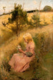Niña recolectando flores - Richard Bergh — vista de la obra